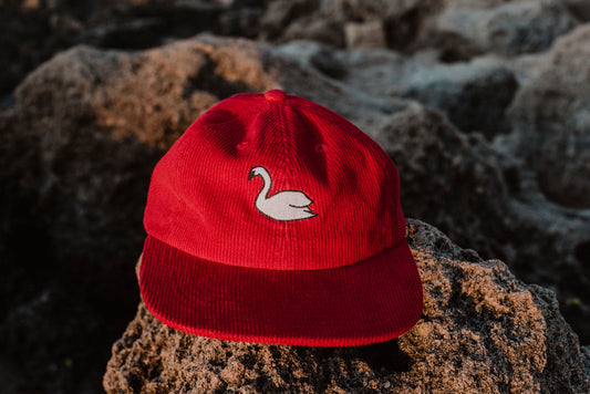 Long Duck Cap