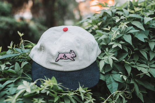 Pig Cap